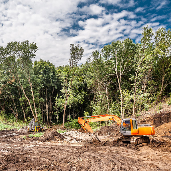 An excavator clears a site in the forest for the construction of a bridge