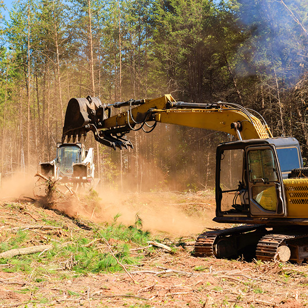 Excavators bulldozers remove trees debris from forested site to prepare for future construction.